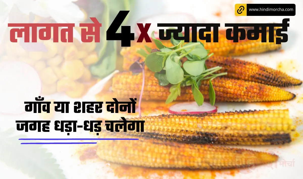 Baby Corn Farming Business Idea: जितना लागत उससे 4 गुना ज्यादा कमाई, गाँव या शहर हर जगह धड़ा-धड़ चलेगा यह सुपरहिट बिज़नस