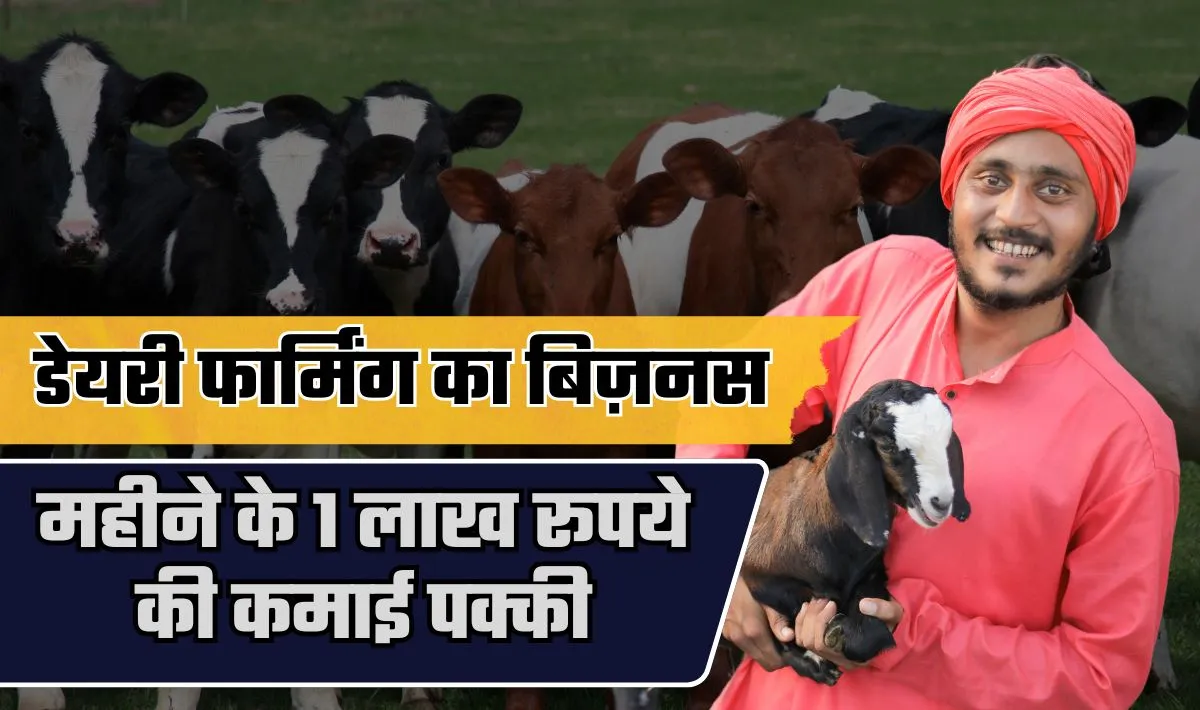 Dairy Farming Business Ideas— नौकरी से हो गए हैं तंग तो शुरू करें डेयरी फार्मिंग का बिज़नस, नौकरी से ज्यादा होगी इसमें कमाई