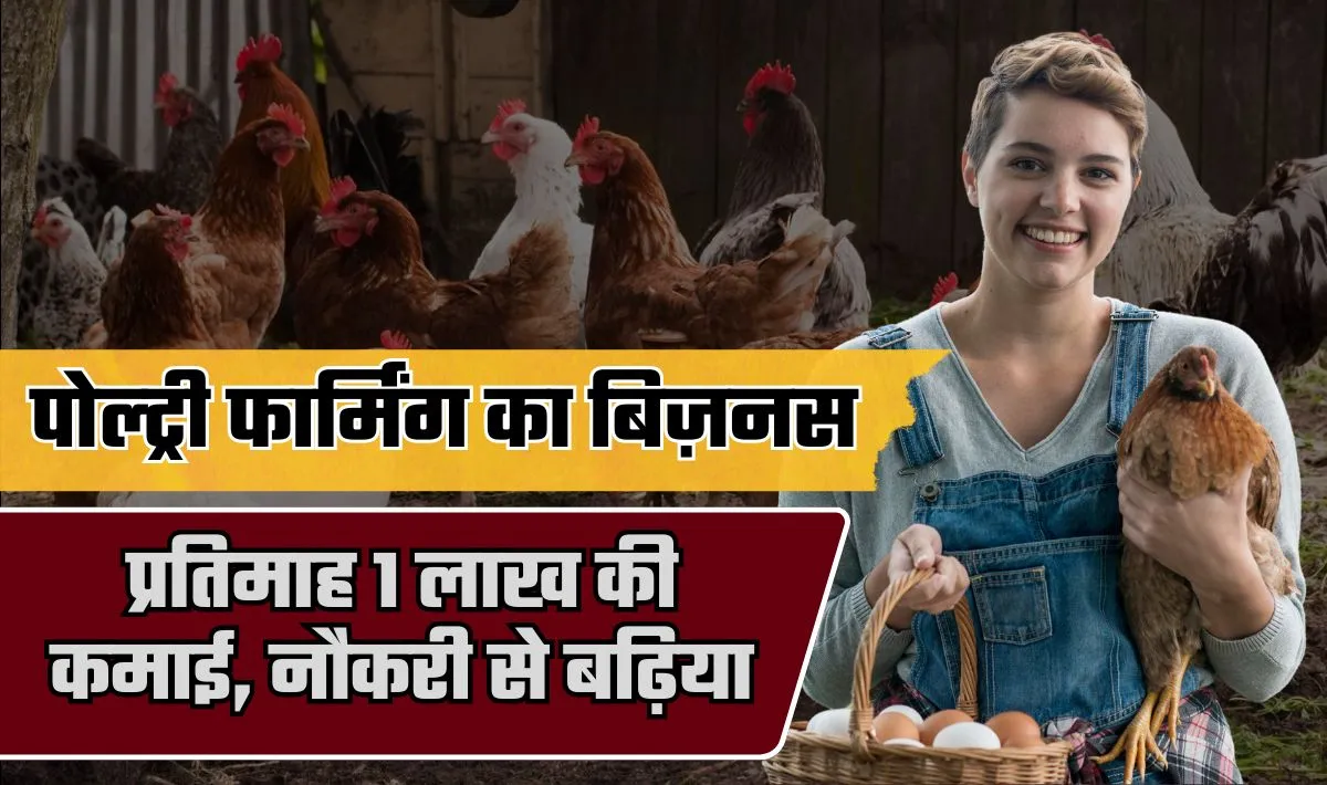 Poultry farming Business Idea— यकीन मानिये इस बिज़नस के आगे नौकरी भी फ़ैल, सब्सिडी लेकर शुरू करें और कमाए 1 लाख रूपये प्रतिमाह