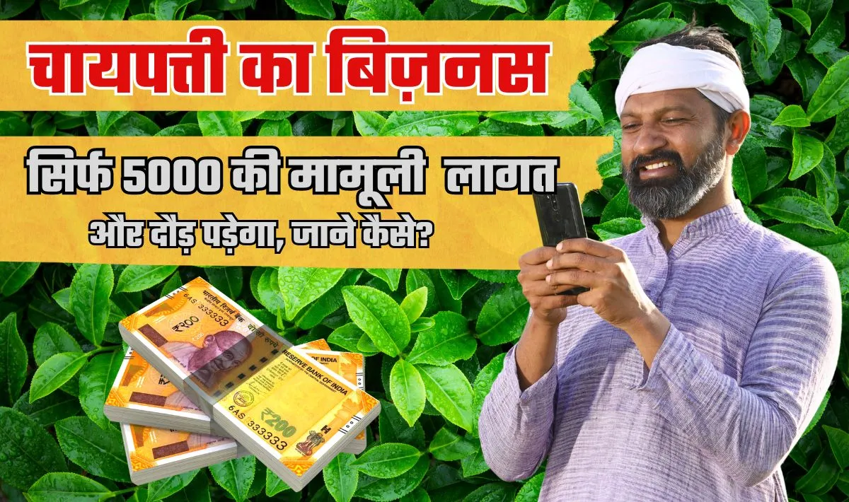 Chai Patti Business Idea— बेहद कम लागत वाला बिज़नस लेकिन कमाई तगड़ी, सिर्फ 5000 में शुरू करें चाय पत्ती का बिज़नस