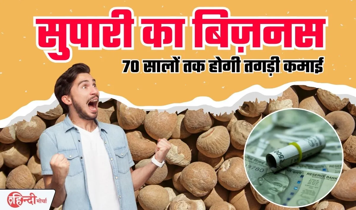 Areca Nut Farming Business Idea: अब कहीं जाने की जरूरत नही, घर बैठे ही 70 सालों तक होती रहेगी धड़ाधड़ कमाई