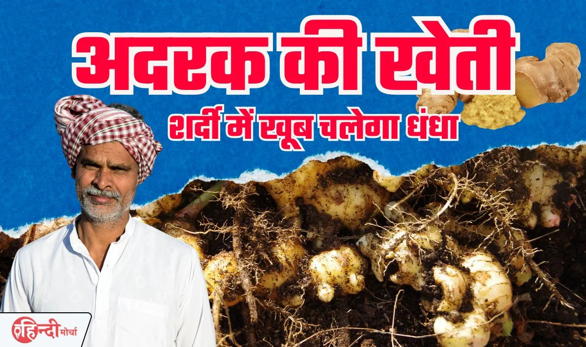 Ginger Farming Business Idea— शर्दी में इस प्रोडक्ट की रहती है खूब डिमांड, अगर कर दिए शुरू तो लखपति बनते नही लगेगी देर