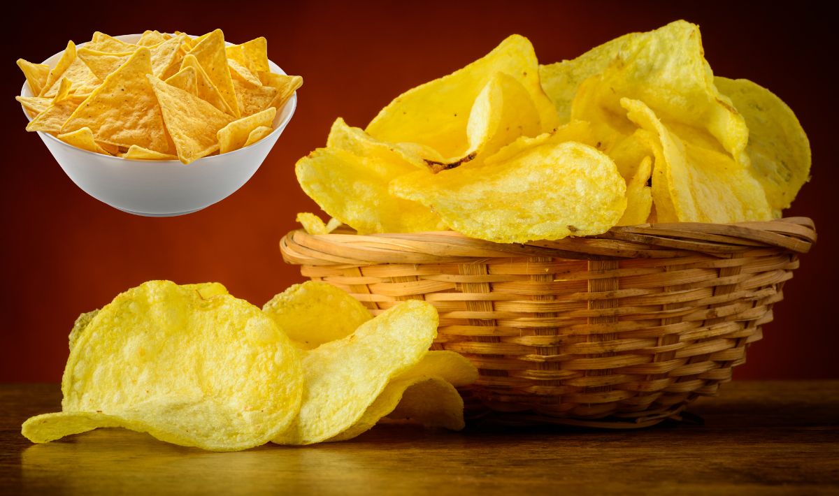 Chips Business Idea— कम निवेश से शुरू करें केले के चिप्स का व्यापार, हर दिन होगी शानदार कमाई, जानिये इस बिज़नस में कितनी आएगी लागत